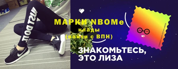 хмурый Семилуки