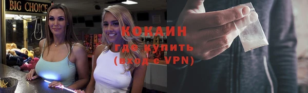 ГАЛЛЮЦИНОГЕННЫЕ ГРИБЫ Семёнов