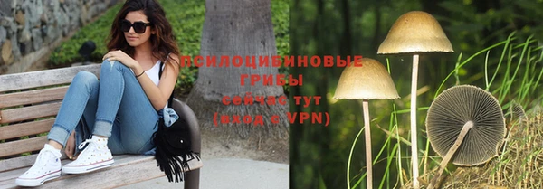 амф Сафоново